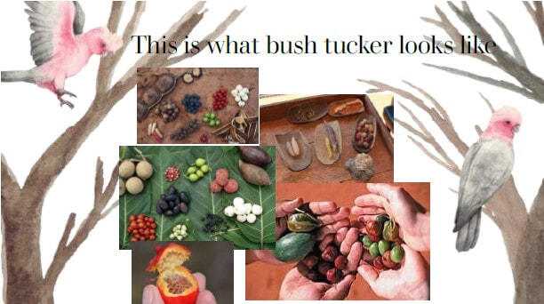 Bush Tucker